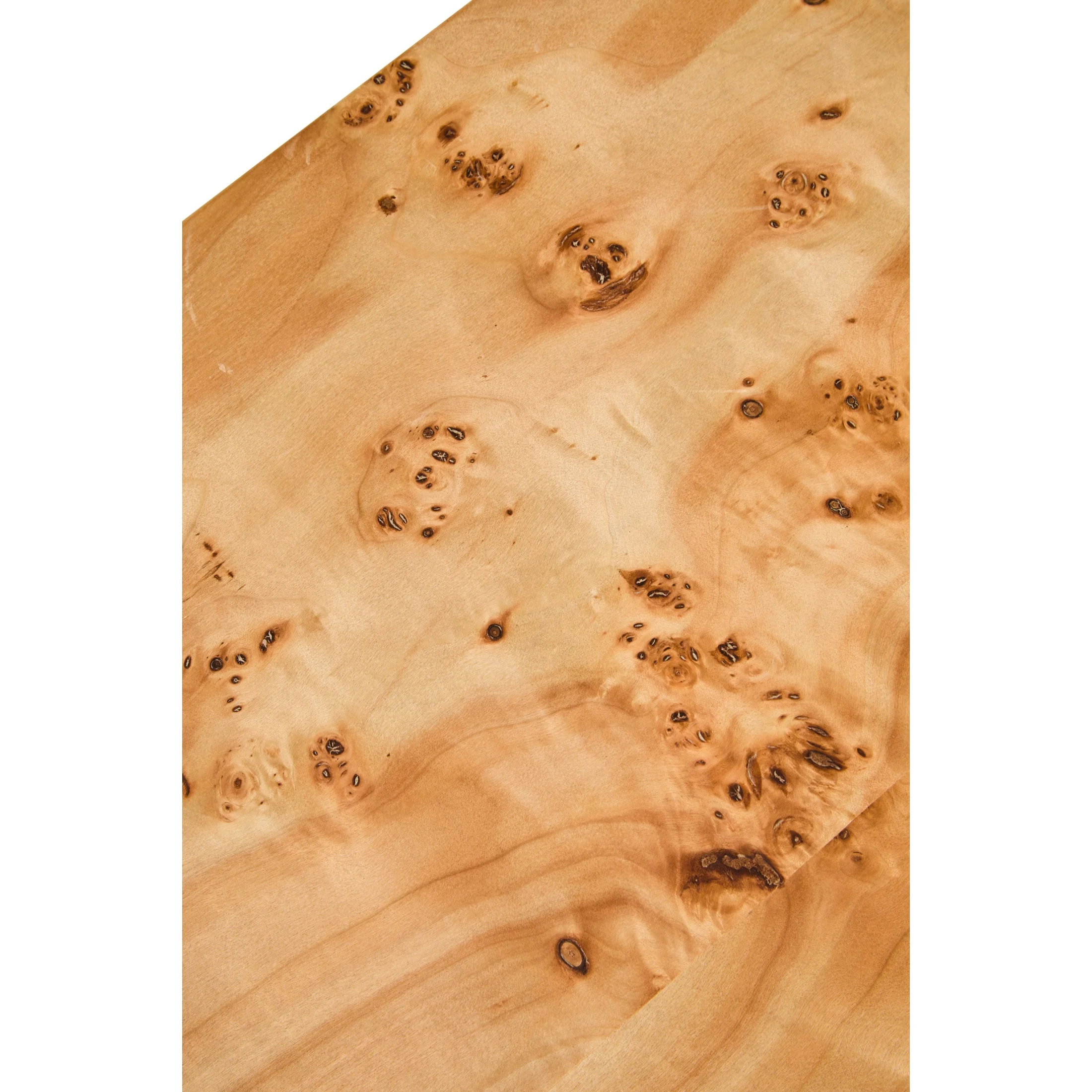 Motara Burl Wood Curved Coffee Table - Image 7